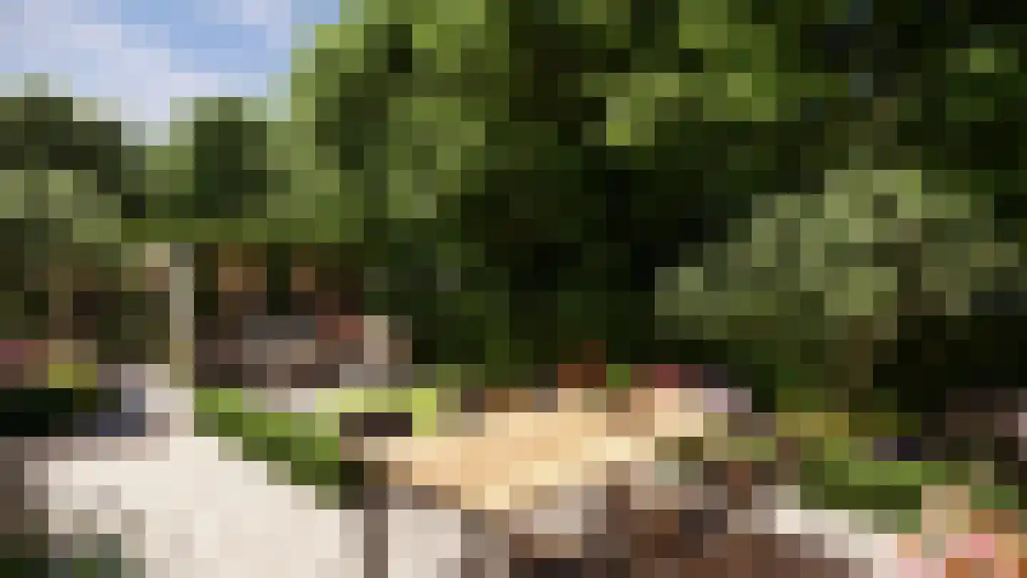 Schinkelsveen 37 Capelle aan den IJssel thumbnail 4