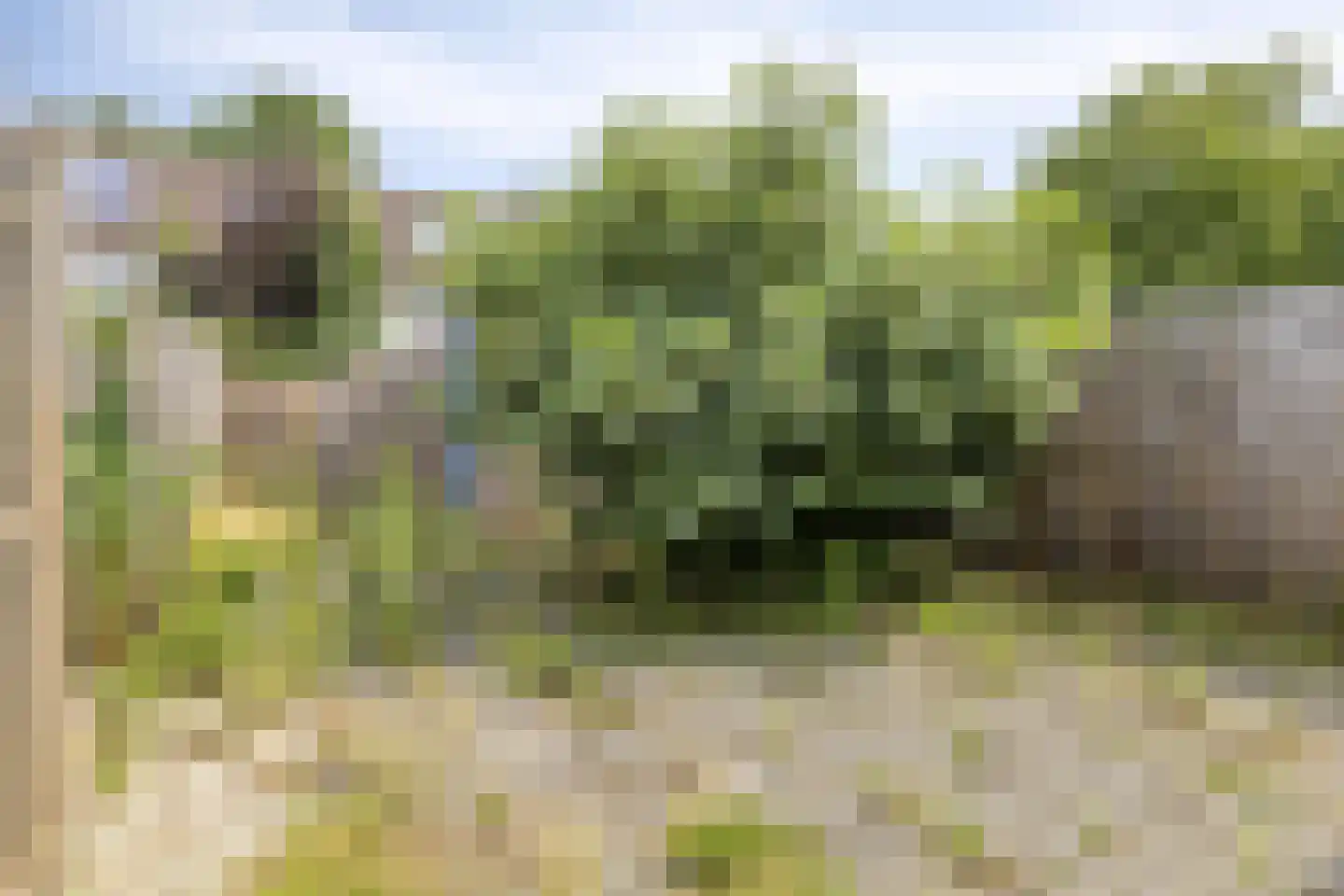 Schinnenbaan 108 Rotterdam thumbnail 16