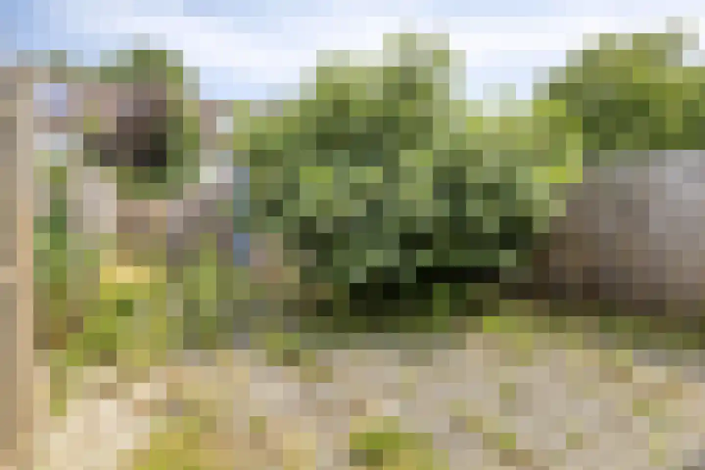Schinnenbaan 108 Rotterdam thumbnail 18