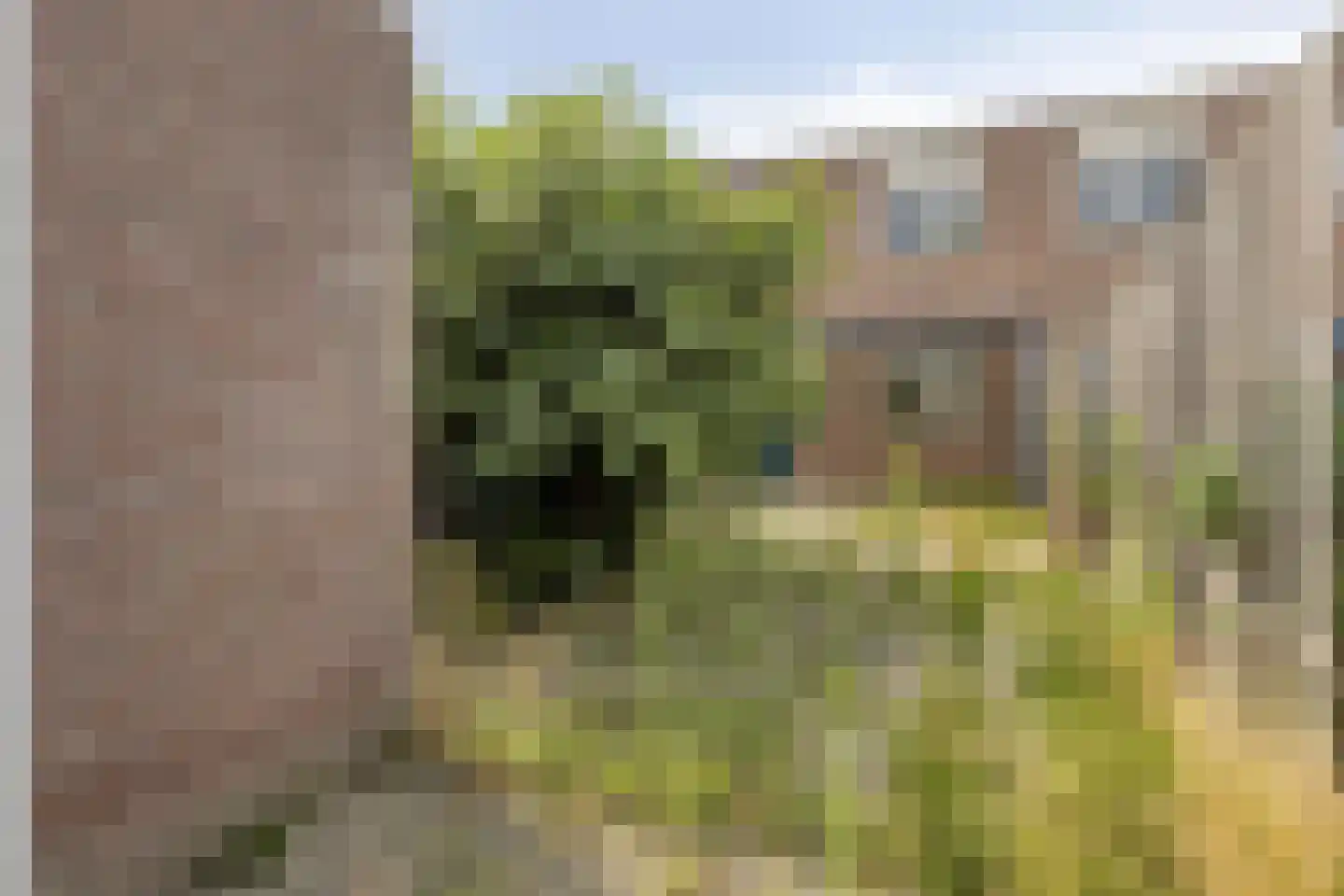 Schinnenbaan 108 Rotterdam thumbnail 20