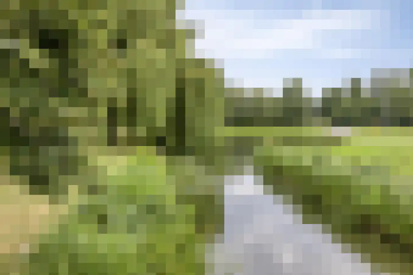 Schinnenbaan 108 Rotterdam thumbnail 29