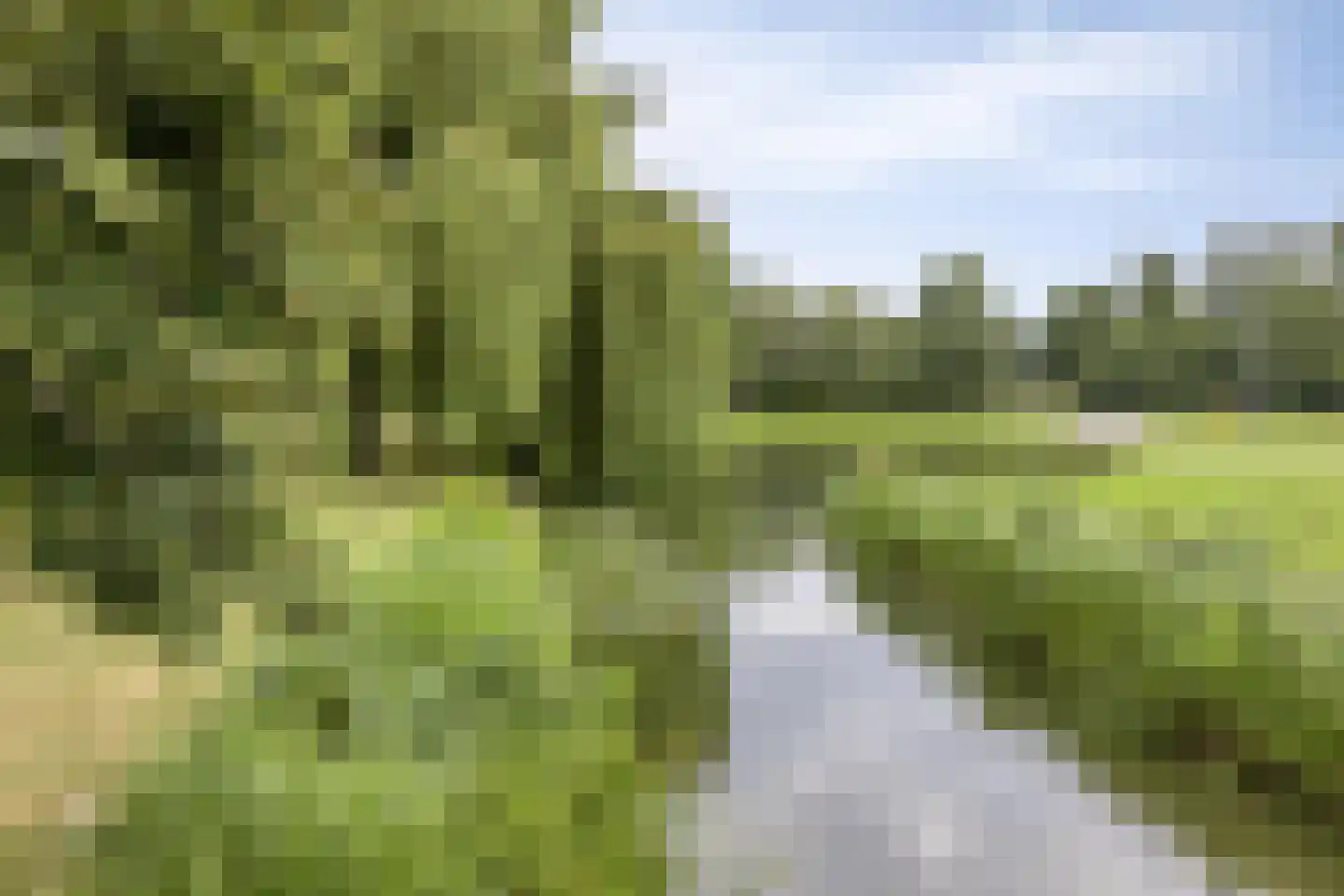 Schinnenbaan 108 Rotterdam thumbnail 32