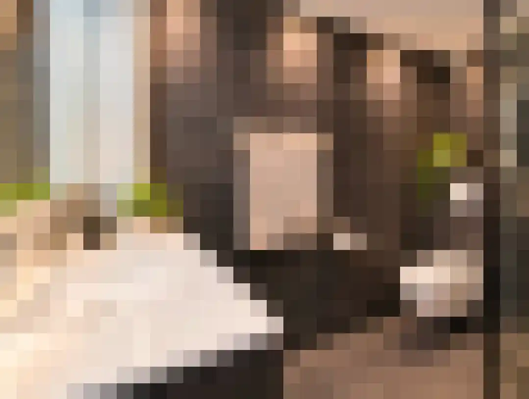 Schinnenbaan 20 Rotterdam thumbnail 10