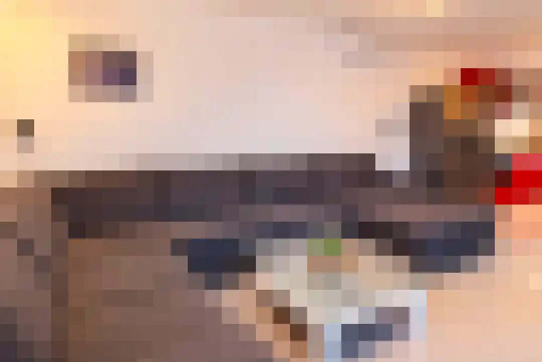 Schinnenbaan 20 Rotterdam thumbnail 5