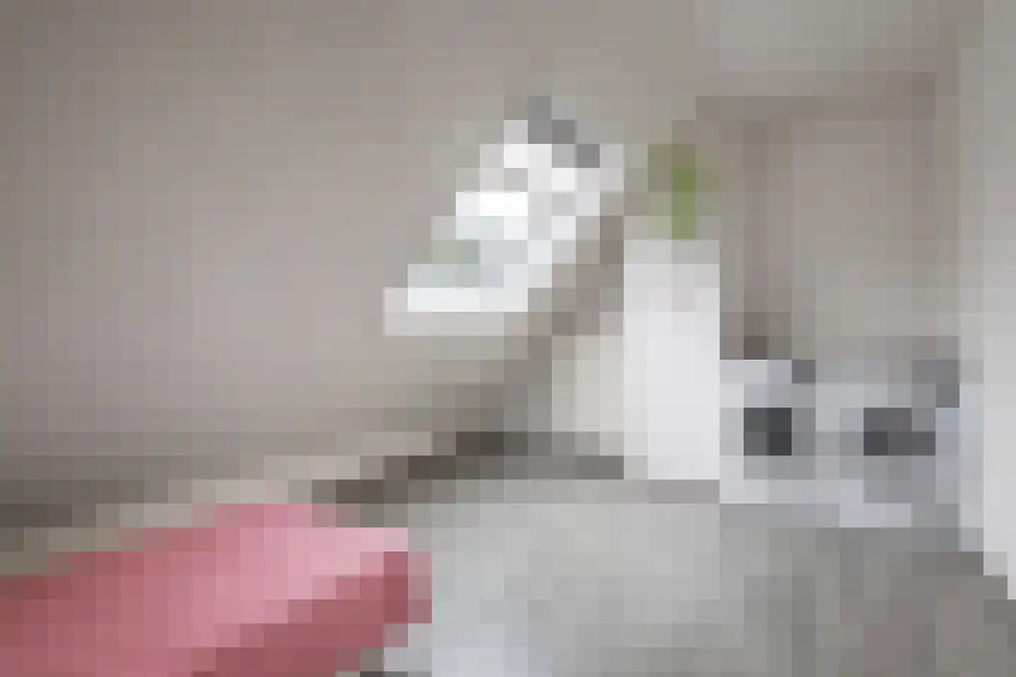 Schinnenbaan 54 Rotterdam thumbnail 24