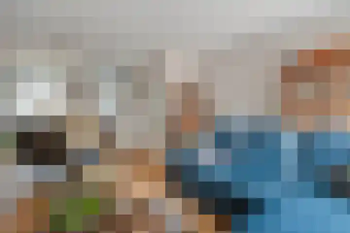 Schipbeek 14 Zwolle thumbnail 12