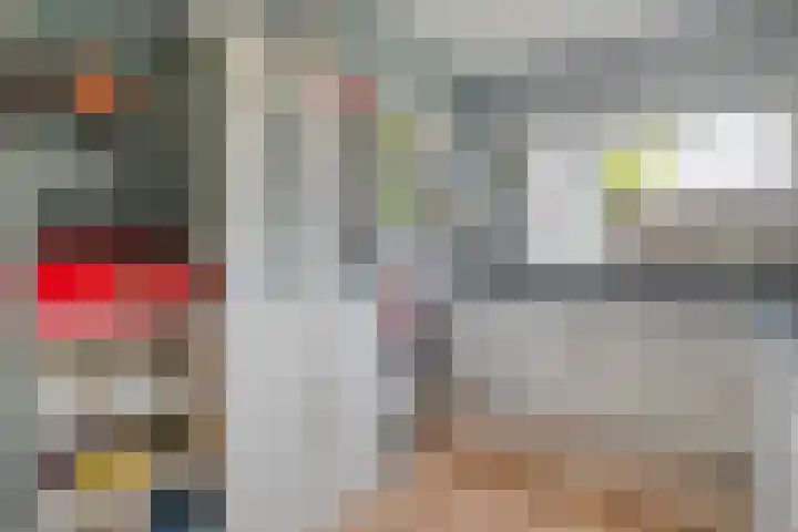 Schipbeek 14 Zwolle thumbnail 13