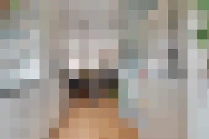 Schipbeek 14 Zwolle thumbnail 15