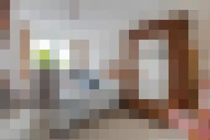 Schipbeek 14 Zwolle thumbnail 18