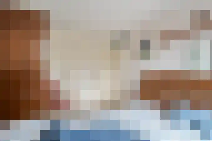 Schipbeek 14 Zwolle thumbnail 19