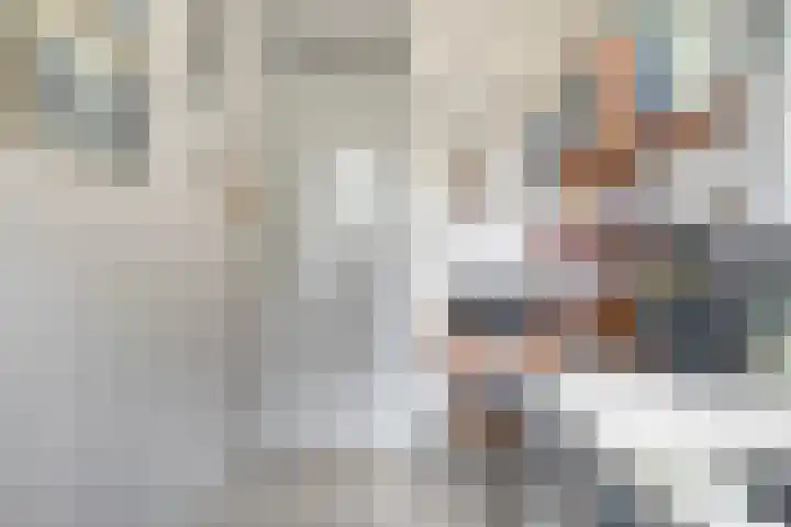 Schipbeek 14 Zwolle thumbnail 25