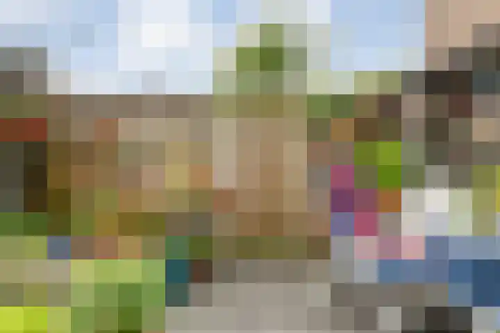 Schipbeek 14 Zwolle thumbnail 31