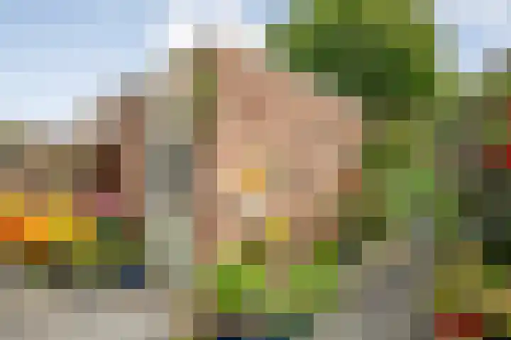 Schipbeek 14 Zwolle thumbnail 32