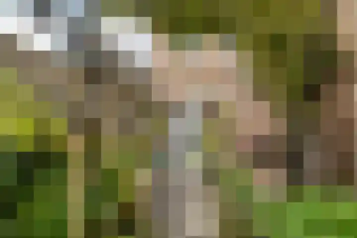 Schipbeek 14 Zwolle thumbnail 33