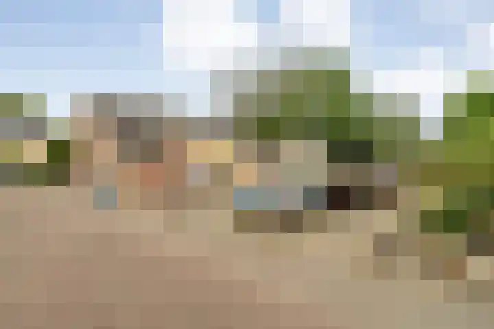 Schipbeek 14 Zwolle thumbnail 35