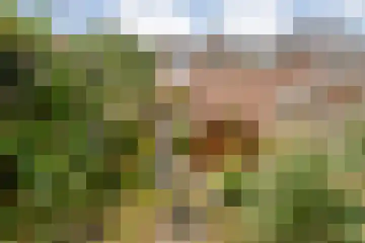 Schipbeek 14 Zwolle thumbnail 4