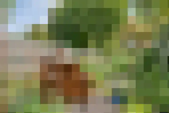 Schipbeek 14 Zwolle thumbnail 5