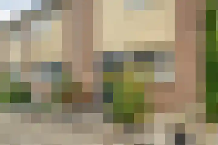 Schipbeek 14 Zwolle thumbnail 6