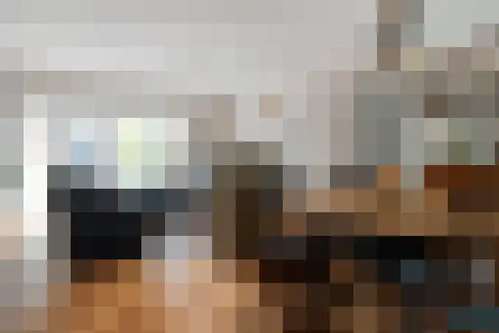 Schipbeek 14 Zwolle thumbnail 9