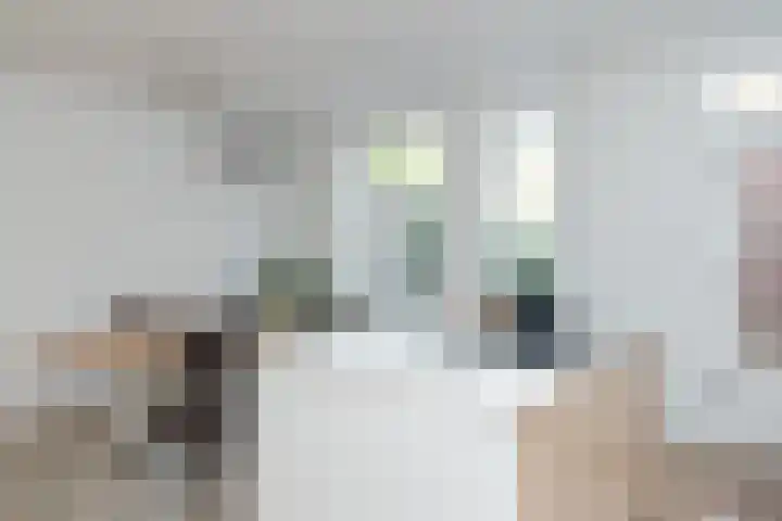 Schipbeek 9 Tilburg thumbnail 11
