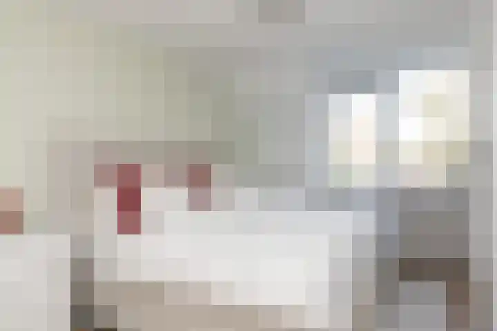 Schipbeek 9 Tilburg thumbnail 18
