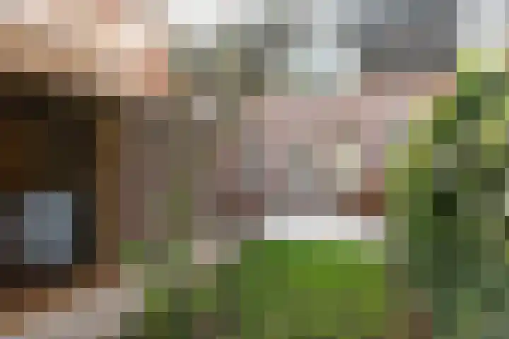 Schipbeek 9 Tilburg thumbnail 37