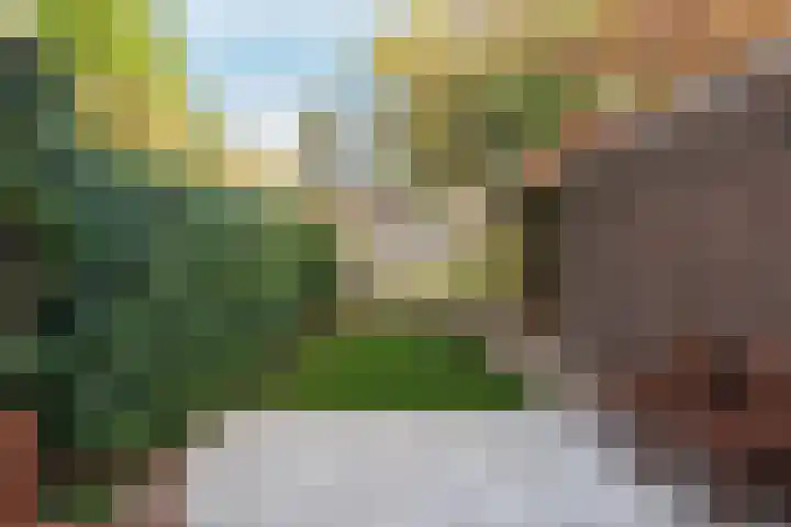 Schipbeek 9 Tilburg thumbnail 4