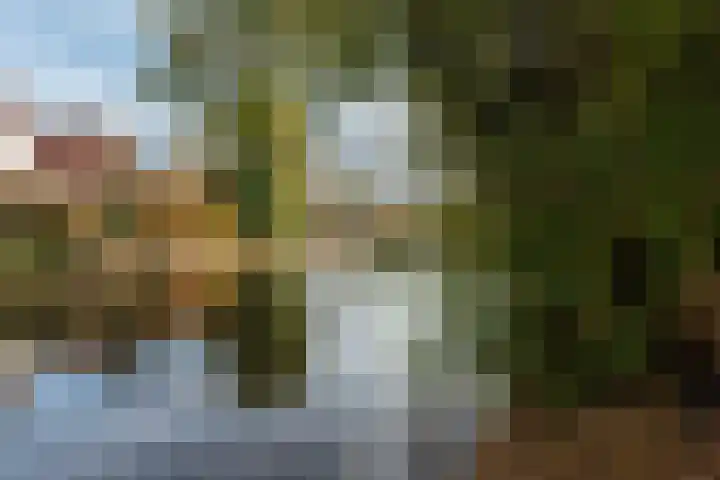 Schipbeek 9 Tilburg thumbnail 42
