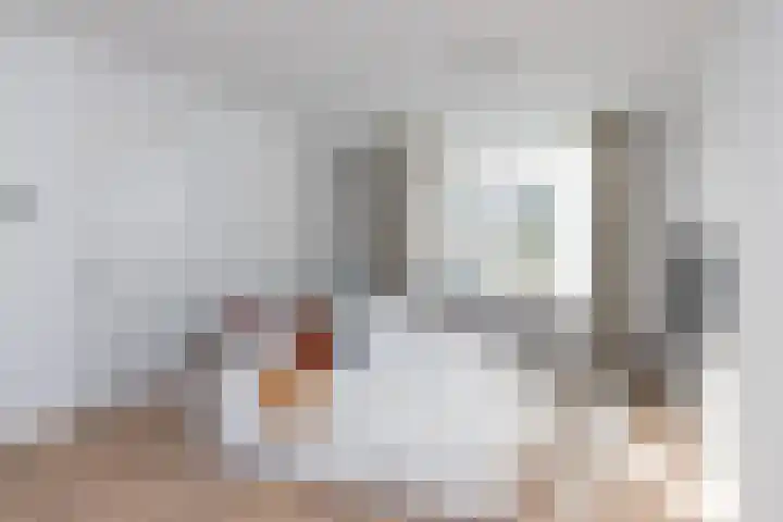 Schipbeek 9 Tilburg thumbnail 8