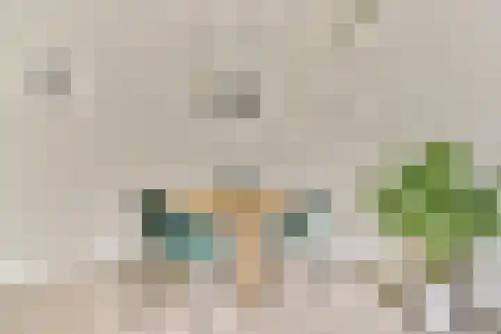 Schipbeekstraat 12 1 Amsterdam thumbnail 6