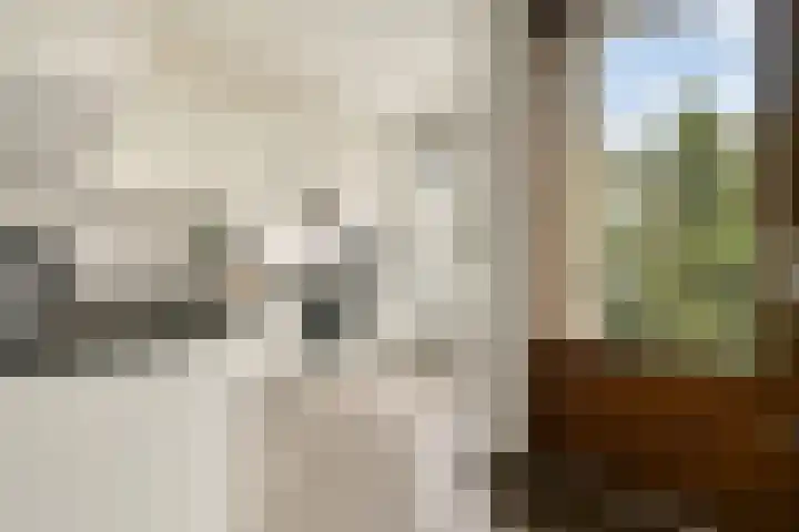 Schipbeekstraat 12 1 Amsterdam thumbnail 8