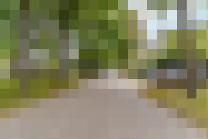 Schipbeekstraat 14 Almere thumbnail 38