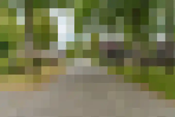 Schipbeekstraat 14 Almere thumbnail 39