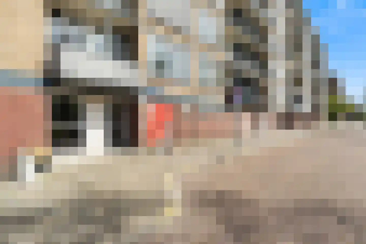 Schipbeekstraat 146 Dordrecht thumbnail 29