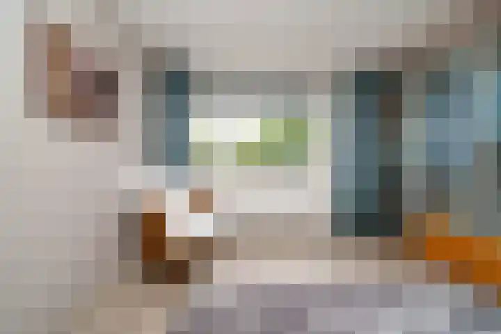Schipbeekstraat 19 Dordrecht thumbnail 33