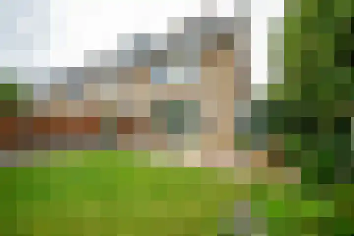 Schipbeekstraat 19 Dordrecht thumbnail 5