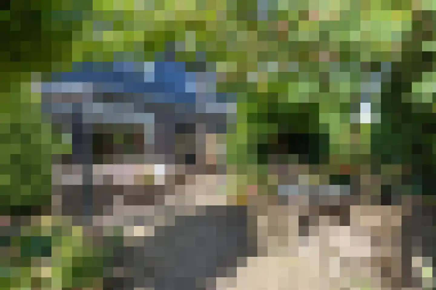 Schipbeekstraat 2 Hengelo thumbnail 23