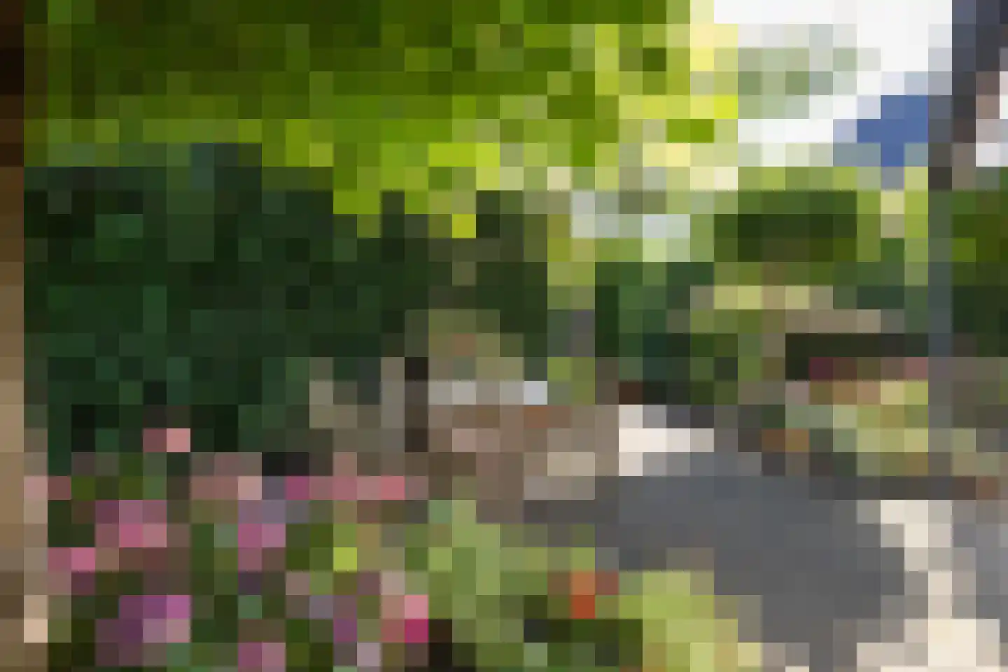 Schipbeekstraat 2 Hengelo thumbnail 24