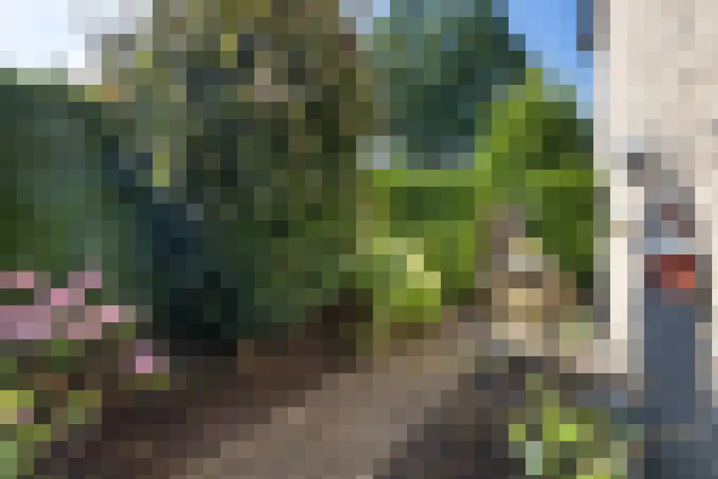 Schipbeekstraat 2 Hengelo thumbnail 25
