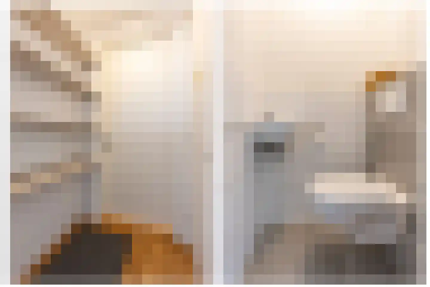 Schipbeekstraat 20 Utrecht thumbnail 19