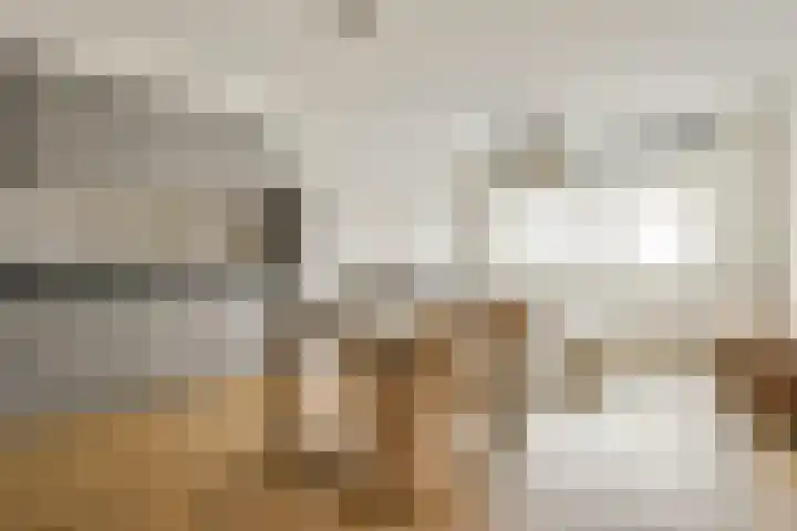 Schipbeekstraat 21 1 Amsterdam thumbnail 4