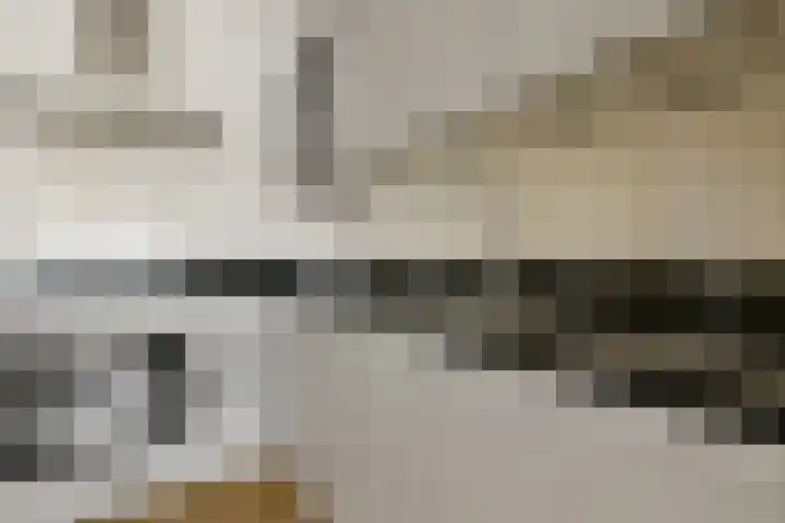 Schipbeekstraat 21 1 Amsterdam thumbnail 8