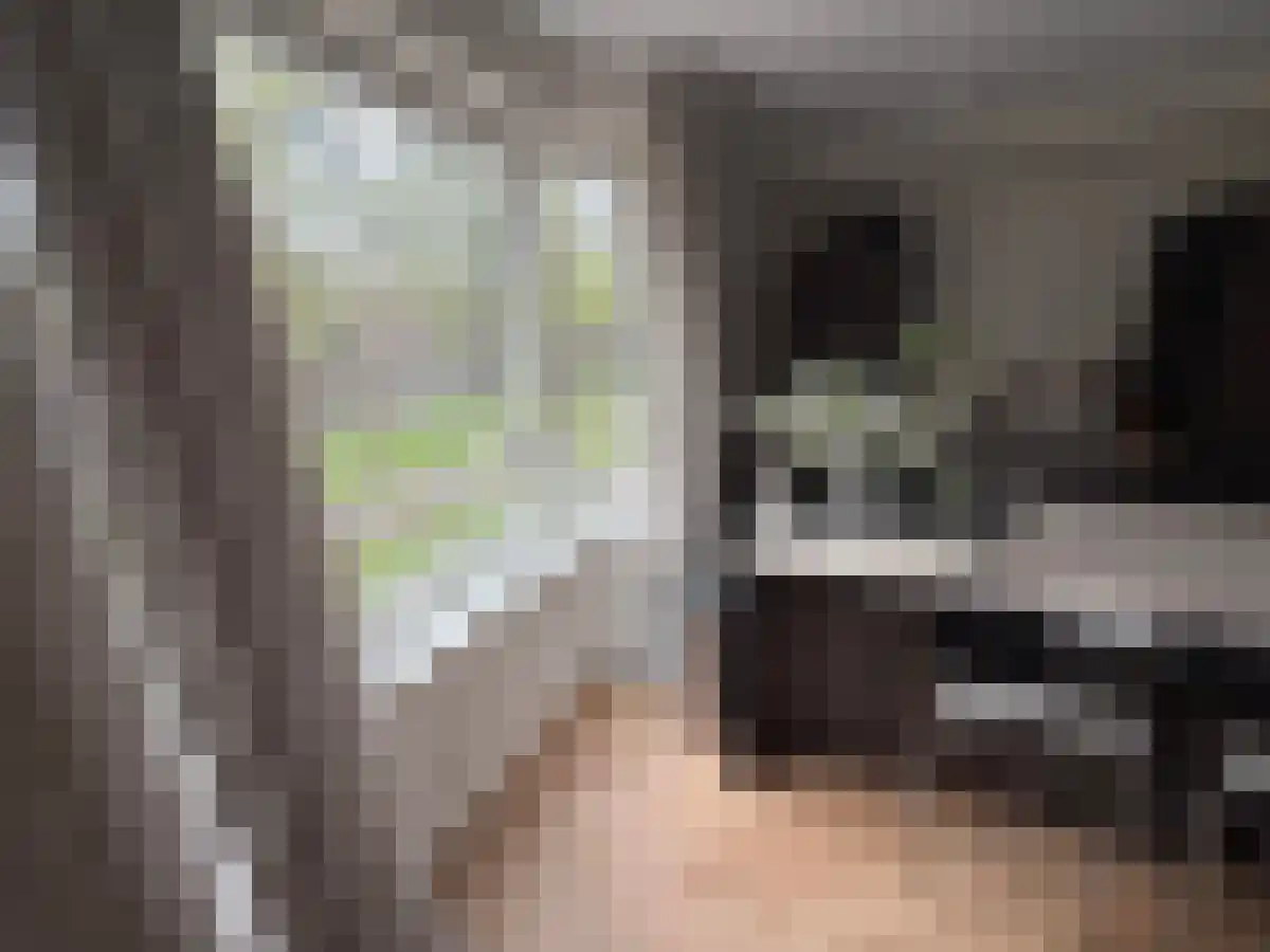 Schipbeekstraat 22 Amsterdam thumbnail 4