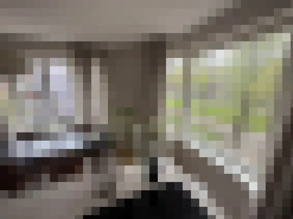 Schipbeekstraat 22 Amsterdam thumbnail 6