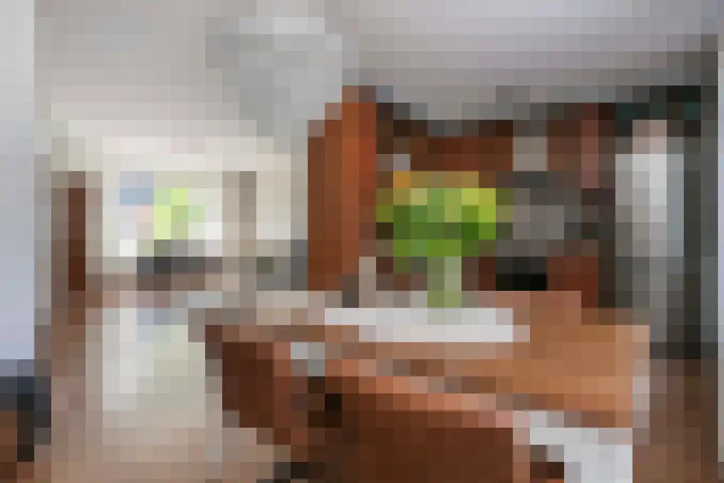 Schipbeekstraat 22 Utrecht thumbnail 16