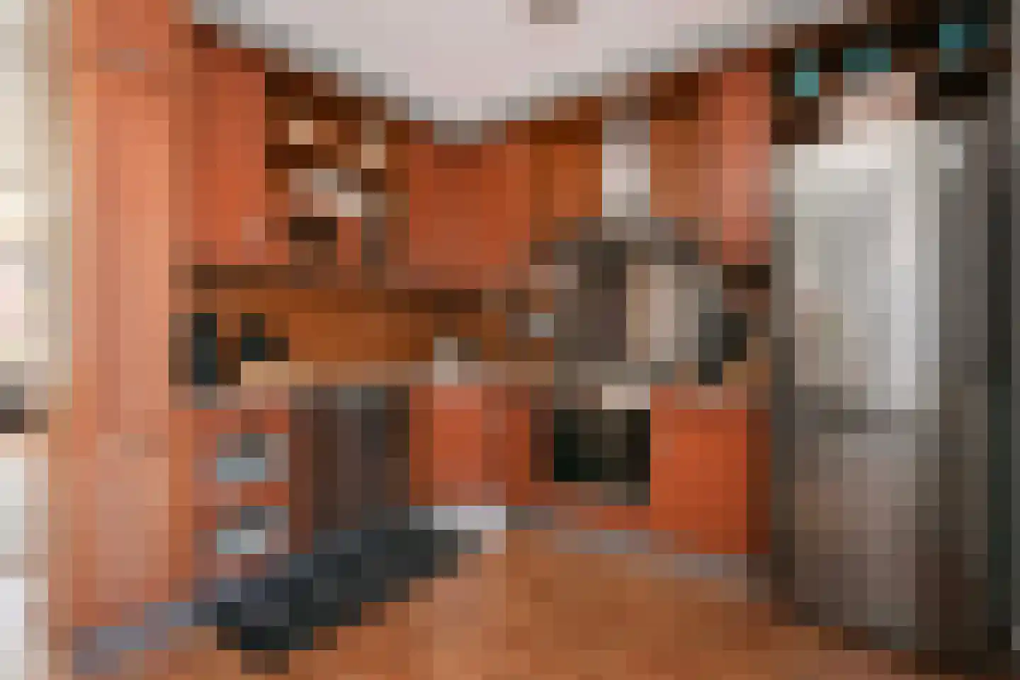 Schipbeekstraat 22 Utrecht thumbnail 17
