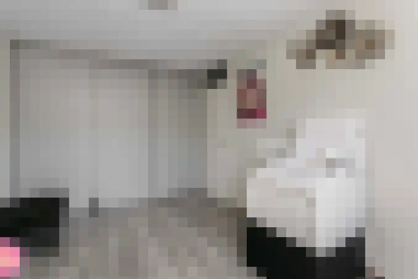 Schipbeekstraat 22 Utrecht thumbnail 27