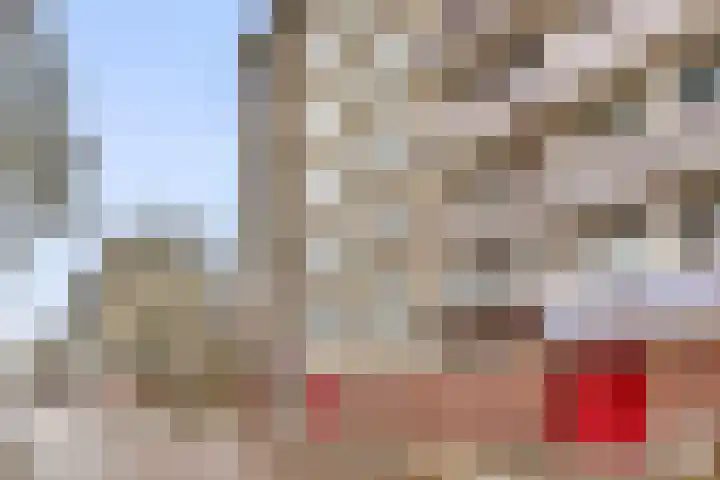 Schipbeekstraat 224 in Dordrecht