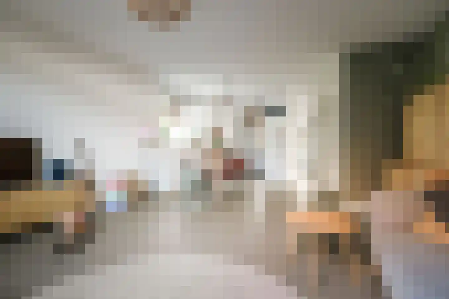 Schipbeekstraat 31 Deventer thumbnail 10