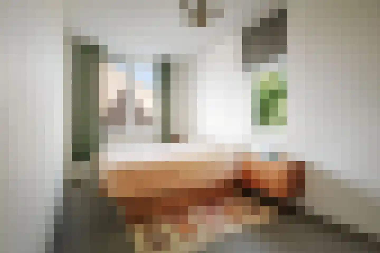 Schipbeekstraat 31 Deventer thumbnail 16